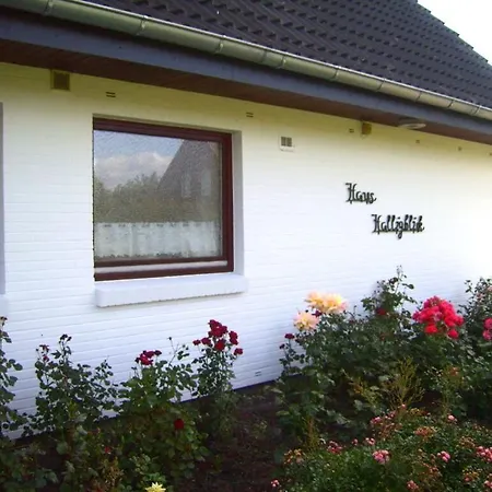 Hooge In The Haus Halligblick