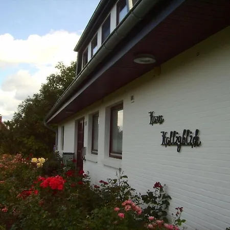 Hooge In The Haus Halligblick 펜션 다게불